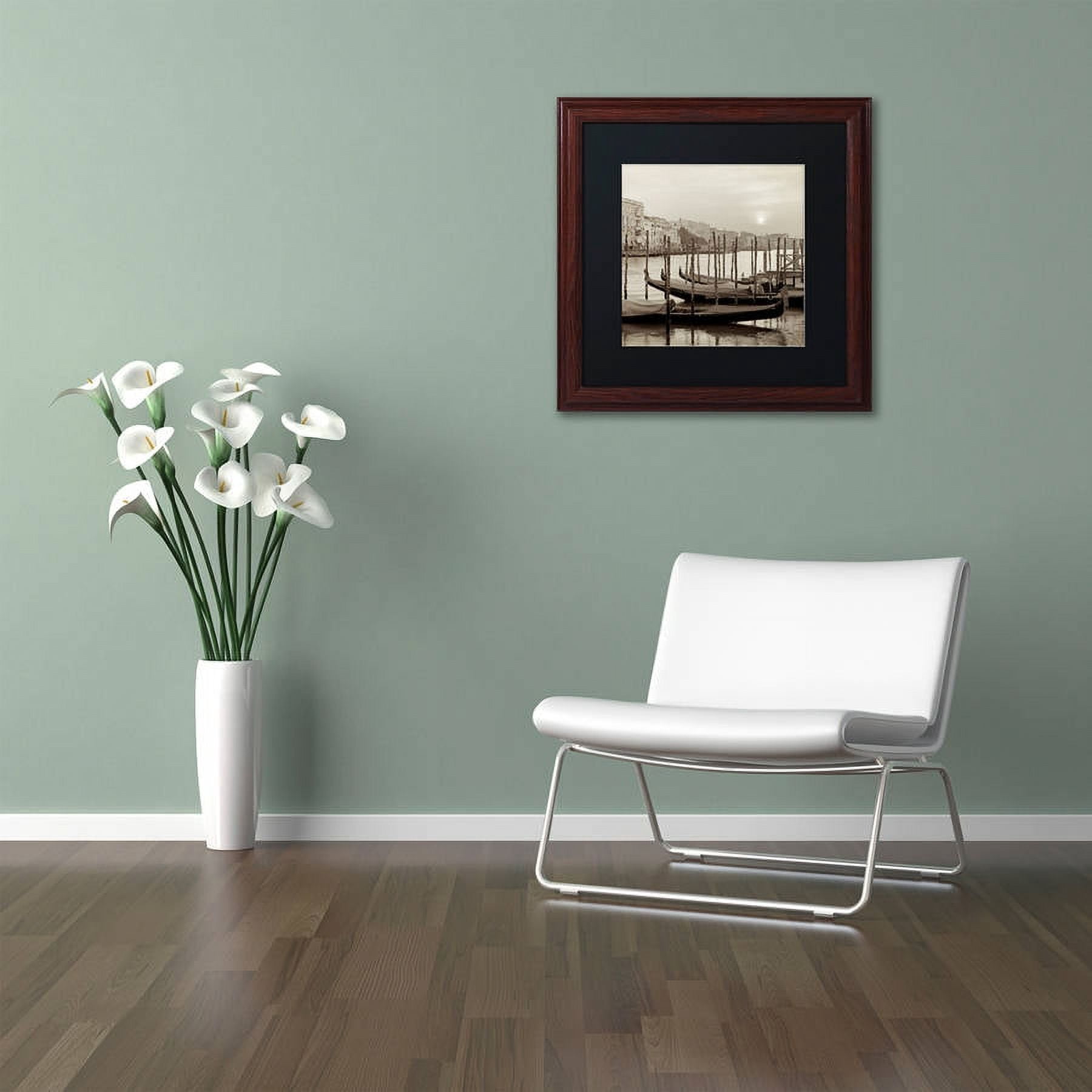 Trademark Fine Art "Venezia 11" Canvas Art by Alan Blaustein, Black Matte, Wood Frame