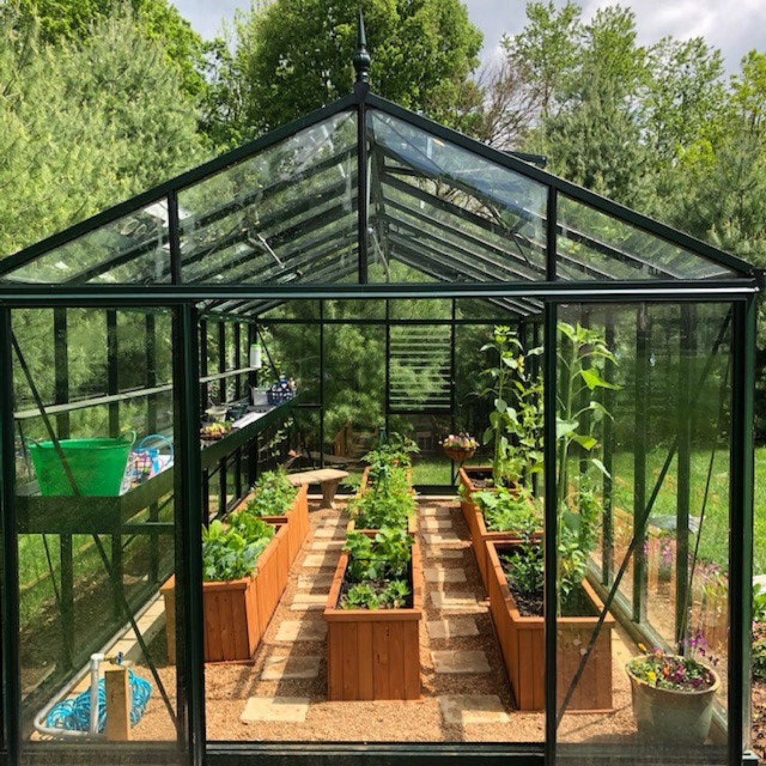 Exaco Royal Victorian VI 36 Black Glass Greenhouse