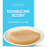 Kombucha Scoby  Starter Tea by Joshua Tree Kombucha | (No Vinegar or Artificial Flavors Added!) (Make 1 Quart (1/4 Starter))