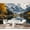 Color 2, variant on Wall Mural Peel and Stick Vintage Sepia Forest Landscape Tall Trees Birds Classical Ruins Self-Adhesive Wallpaper Removable Wall Decal Wall Sticker Home Decor for Living Room Bedroom 69"x96"