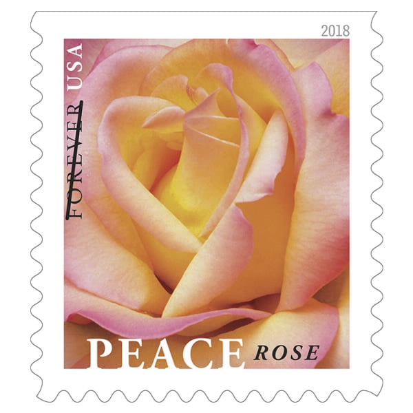 USPS Peace Rose Forever Stamp Twenty FirstClass Forever Stamps