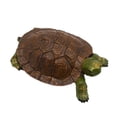 thumbnail image 1 of Estatua de tortuga de jardín, figura de resina, juguete travieso, adorno de tortuga falsa vívida Estilo B, 1 of 8