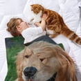thumbnail image 2 of Golden Retriever anti-pilling, suave, ligera, esponjosa y acogedora de lujo para hogar y cocina – Perfecta para niños y adultos, 100 x 150 cm, 2 of 6