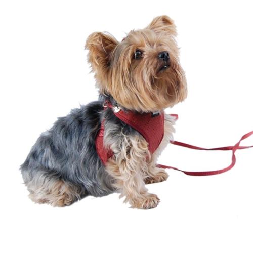 comfort soft harness