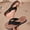 Black, variant on Women Wide Padded Fabric Strap Wedge Flip Flops Slip On Thong Sandals Summer Beach Indoor Outdoor Slides White 8.5