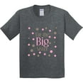 thumbnail image 3 of Inktastic I'm the Big Sister. Youth T-Shirt, 3 of 5