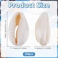 thumbnail image 2 of 200 cuentas de concha de cauri natural en espiral para la playa, ideales para manualidades y joyería., 2 of 4