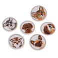 thumbnail image 3 of Parches de mezclilla para planchar, 6 unidades, bonito patrón de animales, fácil operación, ampliamente utilizados, parches ligeros de algodón para bricolaje, 3 of 14