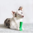 thumbnail image 4 of Bristly Brushing Stick Small Dog DIY Toothbrush and Dog Dental Chews | Most Effective Dog Toothbrush | Best Dog Chew Toy, 4 of 8
