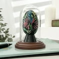 thumbnail image 3 of Plymor 1.85 inch x 3.5 inch Mini Glass Display Dome Cloche (Dark Wood Base), 3 of 3