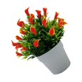 thumbnail image 1 of Xingzhi Realistic Appearance Low Maintenance Artificial Flowers And Plants Easy To Clean sunset red 1Set, 1 of 6