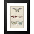 thumbnail image 2 of Anonymous 16x24 Black Modern Framed Museum Art Print Titled - Mounted Natural Butterflies (1913), 2 of 5