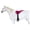 Magenta, variant on Horse Western Suede Neoprene Anti-Slip Bareback Saddle Pad Stirrups 39187PR