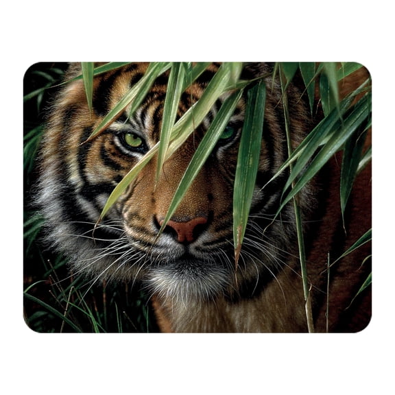 3D LiveLife Magnet - Emerald Forest from Deluxebase. Lenticular Wild Animal Refrigerator Magnet. Decorative 3D Tiger Flat Magnets. Cute Small Magnets for Fridge, Dishwasher and Whiteboard.