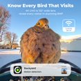 thumbnail image 2 of Comedero para aves Kiwibit con cámara solar 4K e identificación por IA, 2 of 9