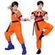 thumbnail image 3 of Halloween Cosplay Disfraces Dragon Ball Z Trajes Son Goku Día De Los Niños Carnaval Fiesta Anime Peluca Disfraz Para Adultos, 3 of 4