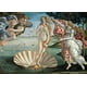 thumbnail image 2 of EuroGraphics - Rompecabezas de El nacimiento de Venus, 1000 Piezas (EG60005001) Eurographics N/A, 2 of 2