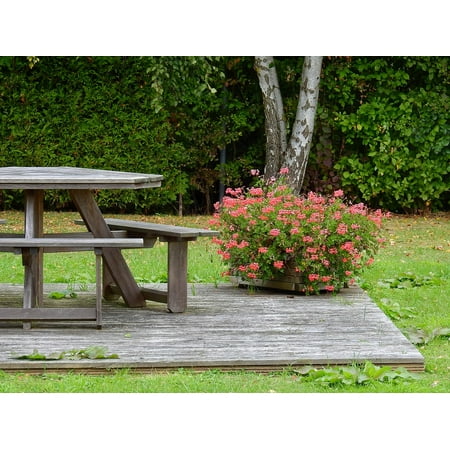 LAMINATED POSTER Wooden Table Resting Place Table Wood Flowers Poster Print 24 x (Best Place To Order Flowers)