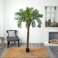 thumbnail image 3 of Nearly Natural 7' Cycas Palm Artificial Tree, 3 of 5