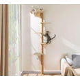 thumbnail image 1 of Floor to Ceiling Cat Tree for Kittens Wall Mounted Cat Wall Shelves with Grey Felt Pads Adjustable Wild Simulation Cat Tower Rotatable Platforms for Climb Scratch and Look, 1 of 9