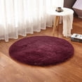 thumbnail image 4 of Circle Rugs for Bedroom Dorm Fluffy Fuzzy Soft Carpet Bedside Area Rug Indoor Living Room Carpet Home Decor, 4 of 7