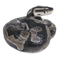 thumbnail image 5 of Hi-Line Gift 87680-B Regius Ball Python Statue, 5 of 7