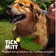 thumbnail image 3 of Guante antigarrapatas Tick Mitt Green para humanos y mascotas, 3 of 6