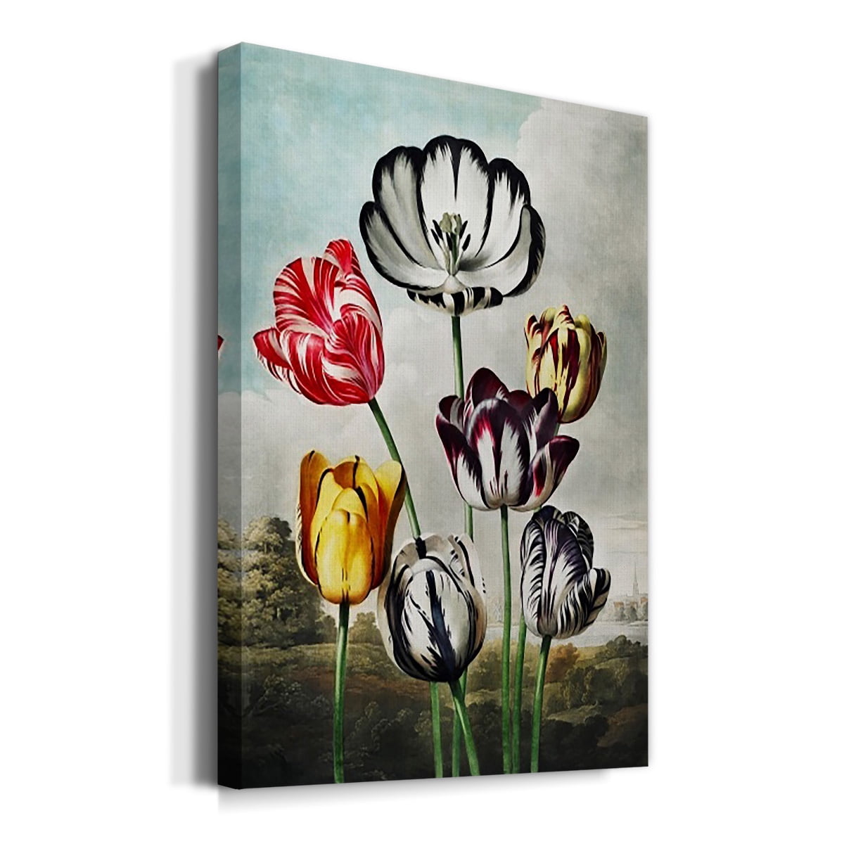 Temple of Flora VI Premium Gallery Wrapped Canvas - Ready to Hang