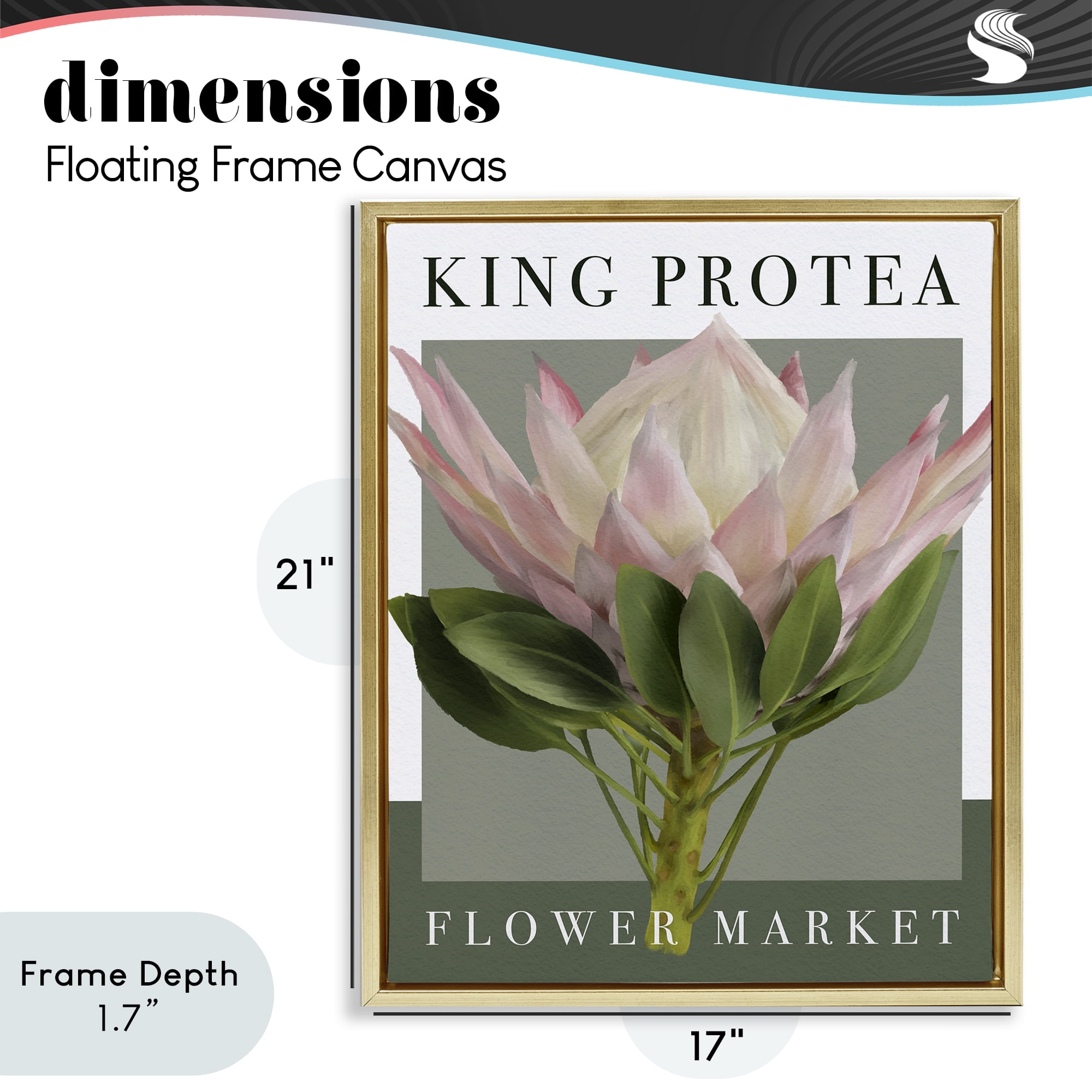 Stupell Industries King Protea Flower Market Gold Framed Floater Canvas Wall Art, design by Jennifer Stith