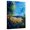 Canvas, variant on Art.com Blue Cornflowers 4505072 Stretched Canvas Print Wall Art by Pol Ledent, 18" x 24"