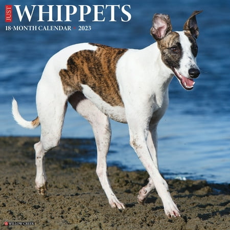 UPC: 0709786073061 | Just Whippets 2023 Wall Calendar