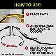 Raid Ant & Roach 17.5 oz Aerosol, 2pk with 8-Count Bait Mixed Pack
