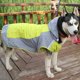 thumbnail image 4 of Labymos Chubasquero para perros con capucha Chubasquero, 4 of 8