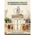 thumbnail image 2 of Mushroom Vitality, 2 of 8