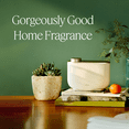 thumbnail image 2 of Aera Home Essential Oil Fragrance Diffuser – Waterless Electric Aromatherapy Smart Plug-in, Wi-Fi & App/Alexa Controlled, Hypoallergenic – for rooms 500-1000 sq ft (Capsules Sold Separately), 2 of 10