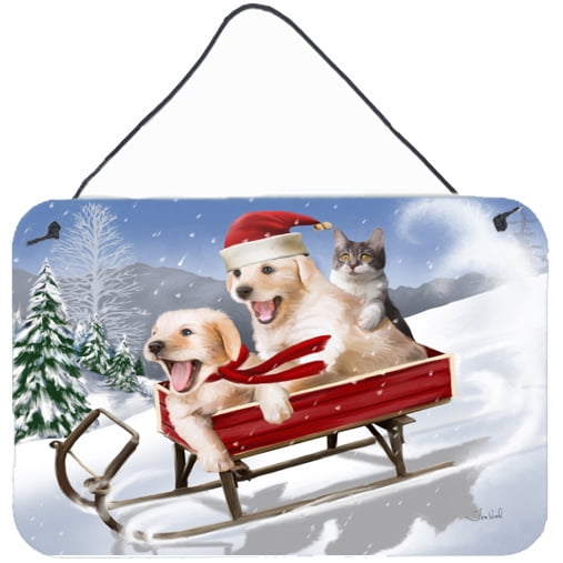 Carolines Treasures PTW2015DS812 Dogs and Kitten in Sled Need for Speed Wall or Door Hanging Prints 8x12 multicolor
