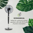thumbnail image 3 of Klarstein Silent Storm 12 Speed Adjustable Oscillating Pedestal Fan, Black, 3 of 7