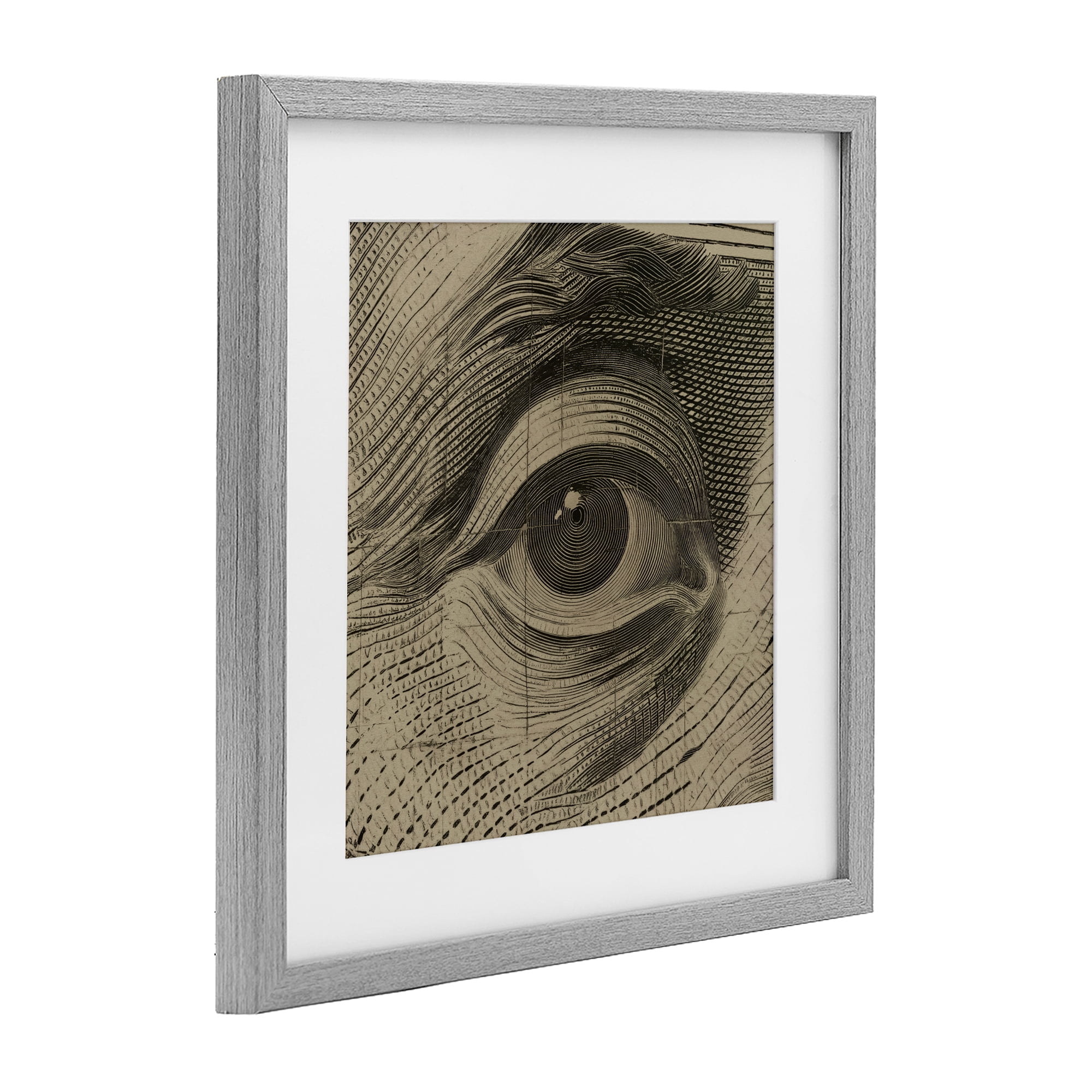 Stupell Industries Franklin's Gaze Eye Gray Framed Print Under Glass, design by Svetlana Aleynikova