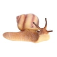 thumbnail image 6 of Rushawy Growth Cycle Model Life Cycle of Snail Animal Model Action Figure Photography Props, 6 of 7