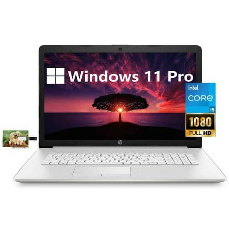 HP 17 Business Laptop Computer, 11th Gen Intel Core i5-1135G7, 17.3" FHD IPS Display, Windows 11 Pro, 16GB RAM, 512GB SSD+1TB HDD, Wi-Fi 6, Bluetooth, Webcam, Backlit keyboard, 32GB Durlyfish USB Card