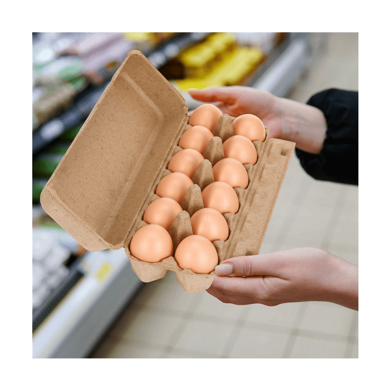 20pcs Cardboard Egg Cartons Blank Paper Pulp Egg Cartons One Dozen Egg  Cartons Container Empty Egg