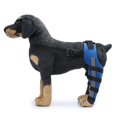 thumbnail image 2 of Rodillera para perros con doble protección para patas traseras, para dislocación de rótula, artritis y ligamento cruzado anterior, mantiene la articulación caliente y ofrece soporte adicional, 2 of 4