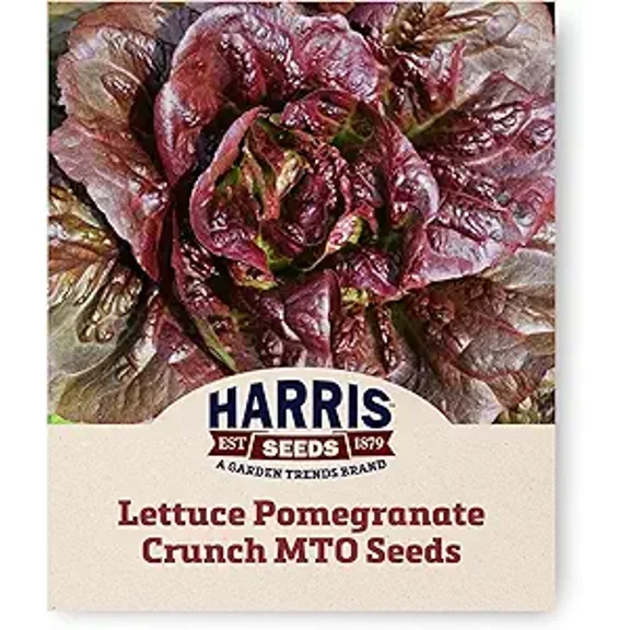 Harris Seeds - Organic Lettuce Seeds Pomegranate Crunch MTO Variety Red Leaves - 50 Seeds