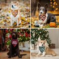 thumbnail image 2 of Bandana para perro ADOGGYGO a cuadros para Halloween y Navidad, paquete de 4, 2 of 6