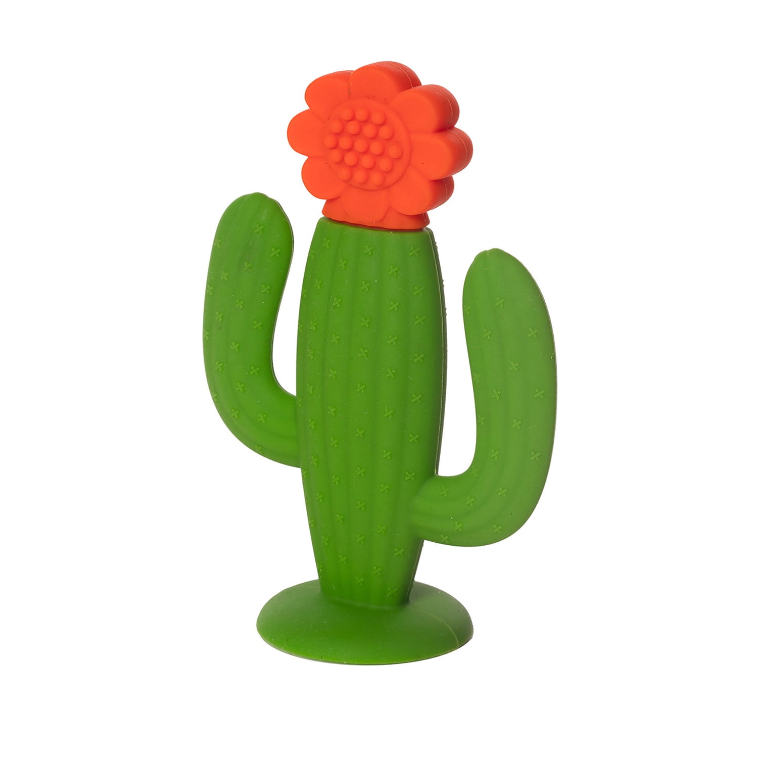 cactus teether