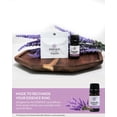 thumbnail image 6 of Essence Lavender Essential Oil, 5 mL – Aromatherapy Oil for Diffuser and Home Use, 6 of 8