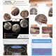 thumbnail image 4 of IMAGE Juego de 5 pinzas de pestañas de acero japonés con estuche de cuero, pinzas de pestañas profesionales para extensiones de pestañas, puntas recubiertas de titanio, pinzas de extensión de pestañas, 4 of 5