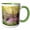 Green/White, variant on 3drose, Cave View from Mammoth Cave National Park, 11oz Magic Transforming Mug