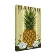 thumbnail image 4 of Lantern Press 'Pineapple' Canvas Art, 4 of 4