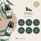 thumbnail image 5 of Aceites Esenciales Aromaterapia Uva Natural Pino Conjunto con Caja de Regalo Exquisita 10 ML, 5 of 6